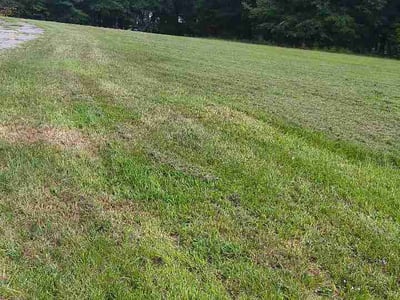 Lawn Care service in Saint Simons Island, 31522