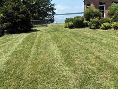 Lawn Care service in Winchester, 22601