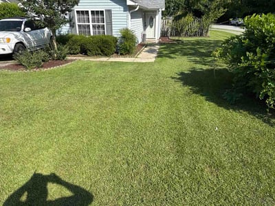 Lawn Care service in New Bern, 28560