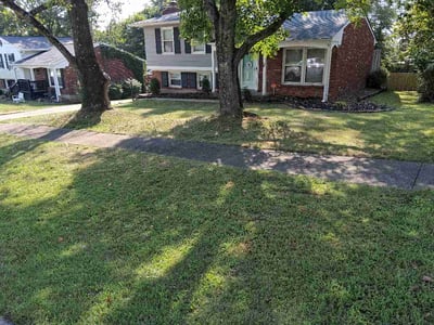 Lawn Care service in Middletown, 40243