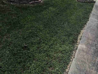 Lawn Care service in Piedmont Triad, 27523