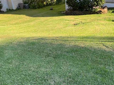 Lawn Care service in South Gate, 90280