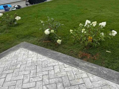 Lawn Care service in Rock Hill, 29730