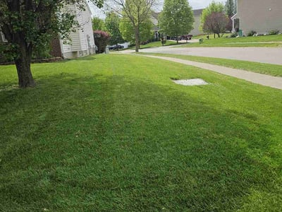 Lawn Care service in Jeffersontown, 40299