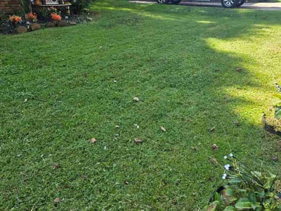 Lawn Care service in ,
