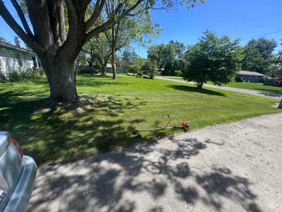 Lawn Care service in Wausau, 54403