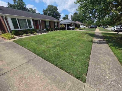 Lawn Care service in Beckley, 25813