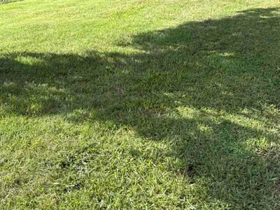 Lawn Care service in Weaverville, 28787