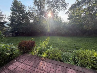 Lawn Care service in Candler, 28715