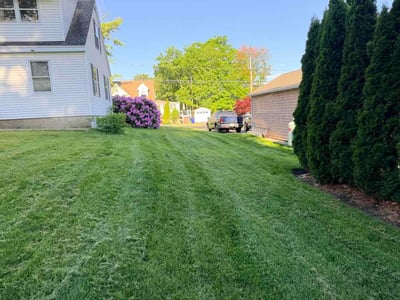 Lawn Care service in Salem, 03079