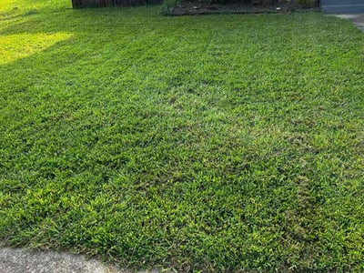Lawn Care service in Salem, 03079