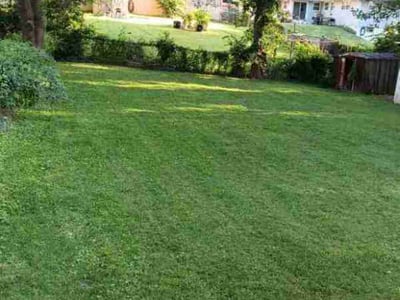 Lawn Care service in Salem, 03079