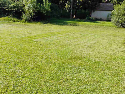 Lawn Care service in Bessemer City, 28016
