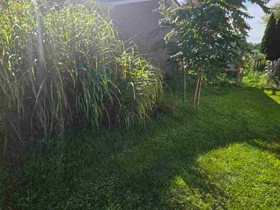 Lawn Care service in Muncie, 47305