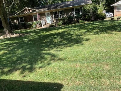 Lawn Care service in Denver, 28037
