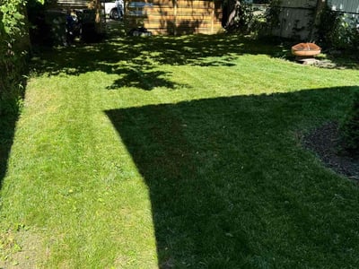 Lawn Care service in Beech Grove, 46107