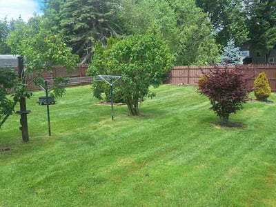 Lawn Care service in Canastota, 13032