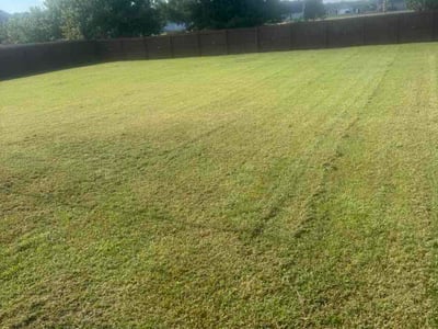 Lawn Care service in Colton, 92324