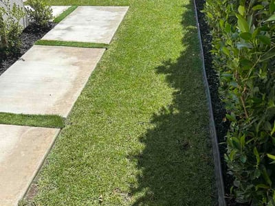 Lawn Care service in Compton, 90220