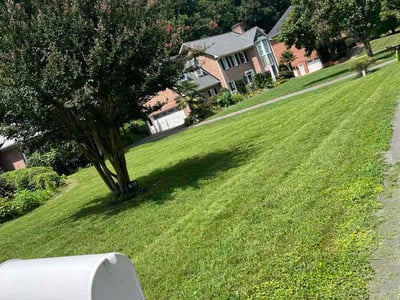 Lawn Care service in Clemmons, 27012
