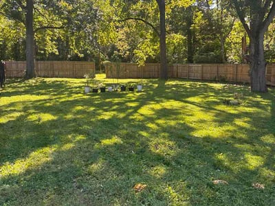 Lawn Care service in Pendleton, 46064