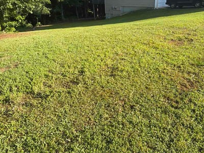 Lawn Care service in London, 40741