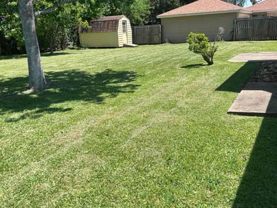 Lawn Care service in New Bedford, 02740
