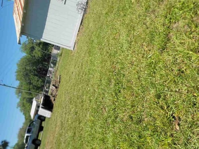 Lawn Care service in Woburn, 01801
