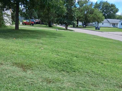 Lawn Care service in Woburn, 01801