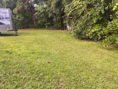 Lawn Care service in Surprise, 85374