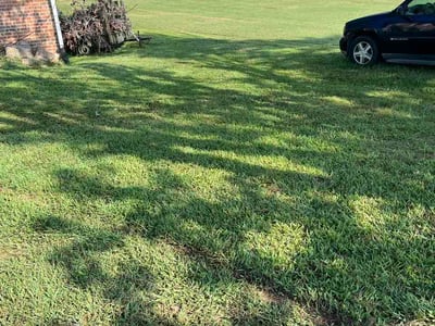 Lawn Care service in Sevierville, 37862