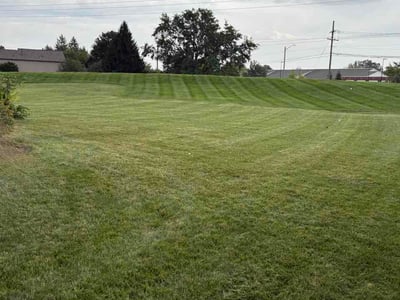 Lawn Care service in Broad Ripple, 46220