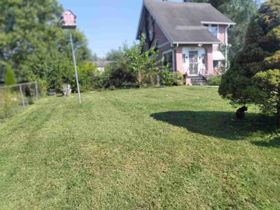 Lawn Care service in Broad Ripple, 46220