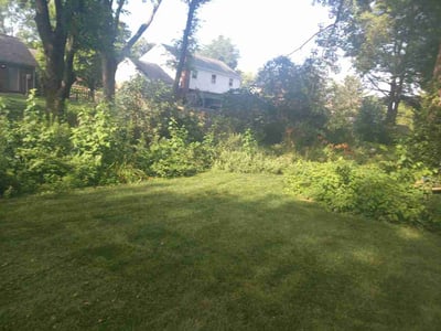 Lawn Care service in Carmel, 46032