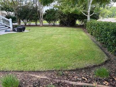 Lawn Care service in Mount Pleasant, 29464