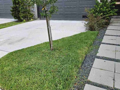 Lawn Care service in Fall River, 02720
