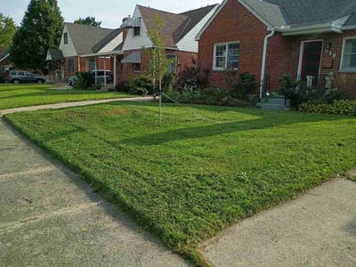 Lawn Care service in Tarentum, 15084