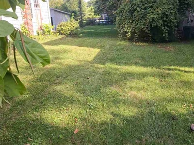 Lawn Care service in Tarentum, 15084