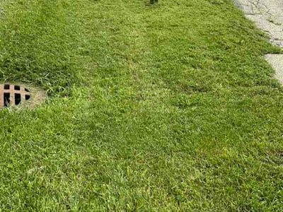 Lawn Care service in Lake Villa, 60046