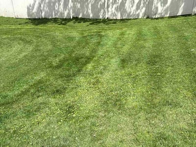 Lawn Care service in Irwin, 15642