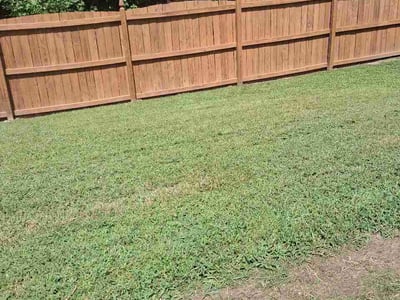 Lawn Care service in Smithfield, 27577