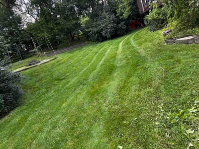 Lawn Care service in Irwin, 15642