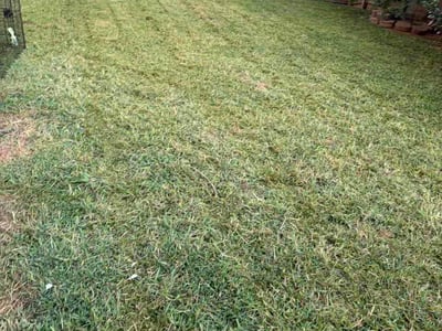 Lawn Care service in Monroe, 28112
