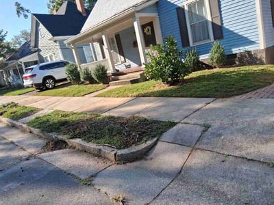 Lawn Care service in ,