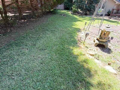 Lawn Care service in Suwanee, 30024