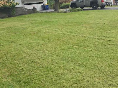 Lawn Care service in Fairport, 14450