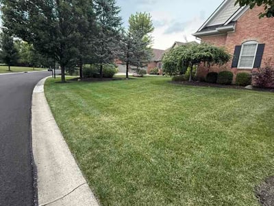 Lawn Care service in Belle Vernon, 15012
