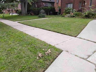 Lawn Care service in Encino, 91316