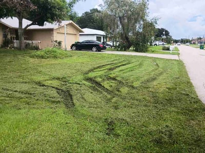 Lawn Care service in Encino, 91316