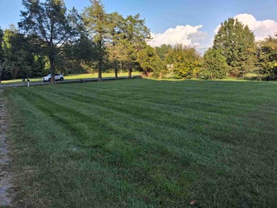 Lawn Care service in Ruther Glen, 22546